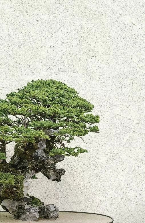 Обои в интерьере артикул 72965, Zen, Decori & Decori Обои в интерьере артикул 72965, Zen, Decori & Decori