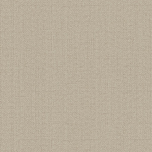 Коричневые обои в прихожую Alessandro Allori Bruni 1002-25 RBN